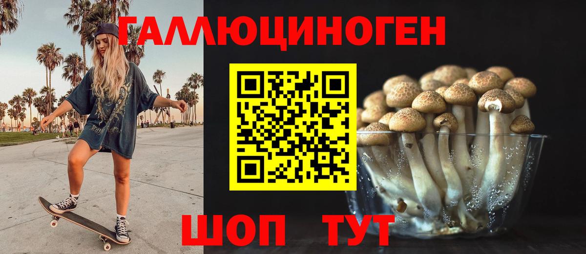 Галлюциногенные грибы Psilocybe  Вход с VPN  Апатиты  Псилоцибиновые грибы Psilocybine cubensis 